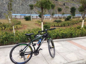 我的第一輛老坦克 一個(gè)自行車(chē)小菜的回憶貼